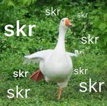 吃瓜群众的意思和造句怎么写,揭秘网络热议背后的围观心态